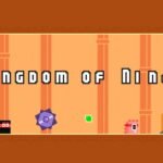 Kingdom of Ninja