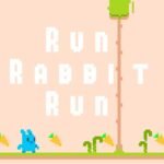 Run Rabbit Run
