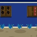 Western Bluebird House Escape